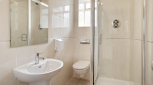 Bathrooms in Abernant Lake