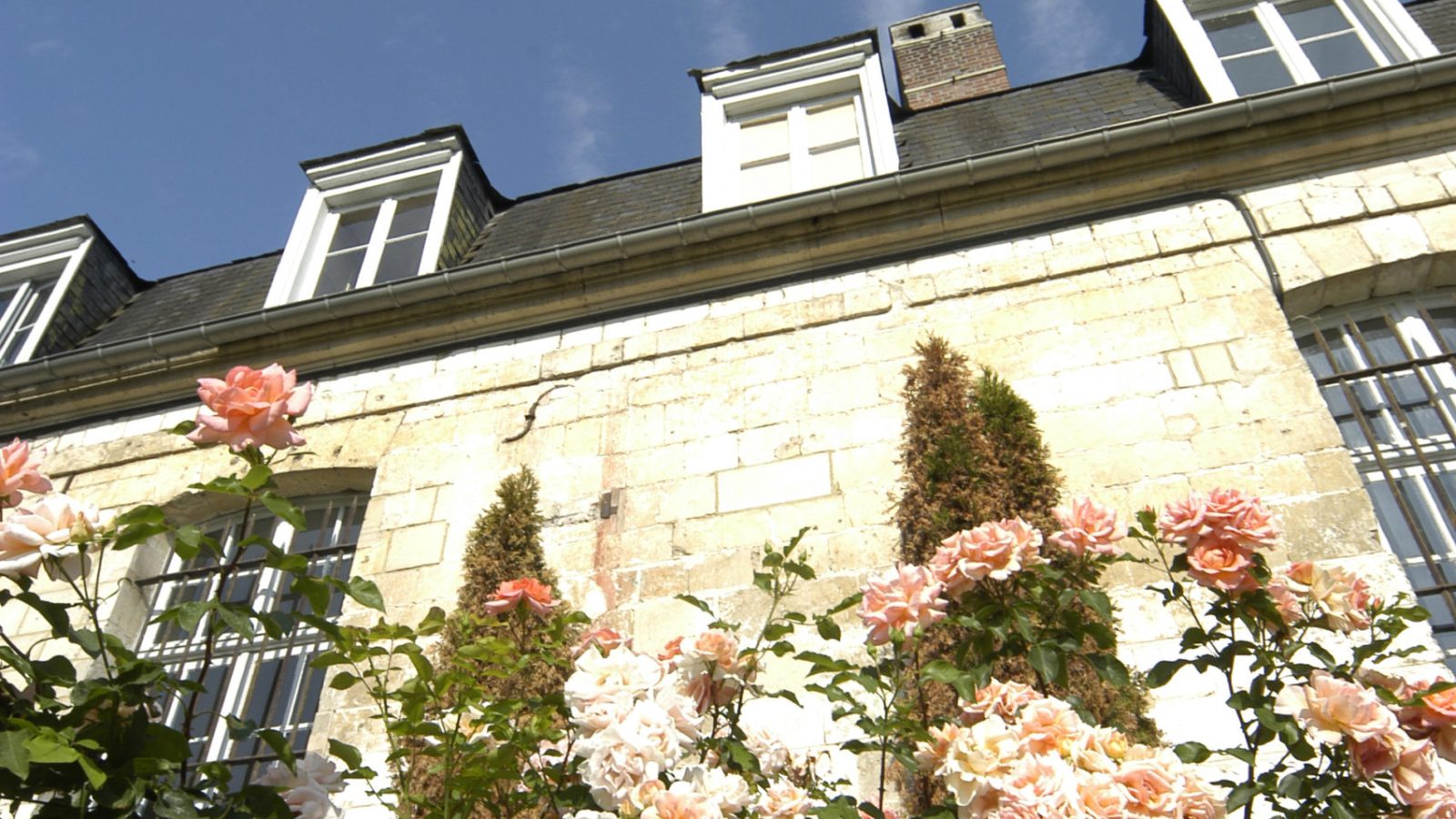 Jason Summer 2005 018